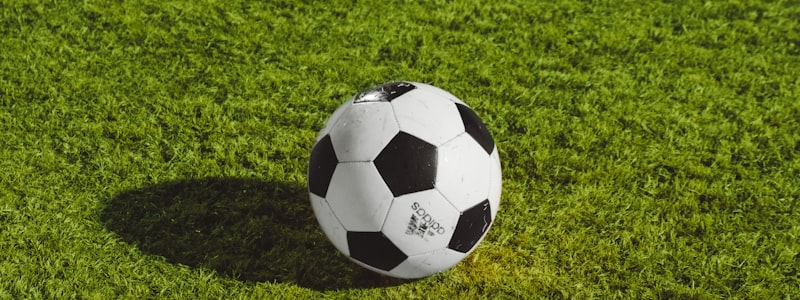 多国国家队球员集体合影阵容展示