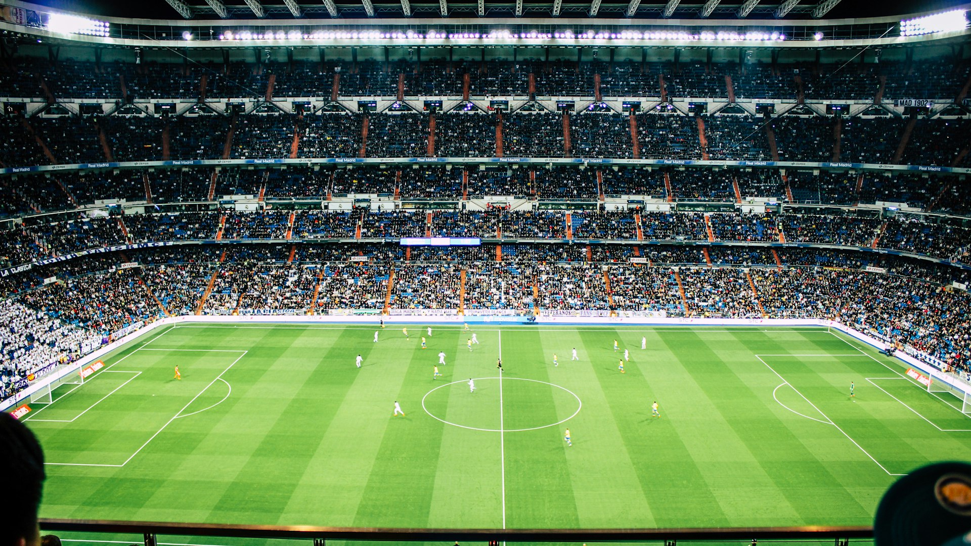 世界杯球迷看台欢呼庆祝，形成一片沸腾的海洋
